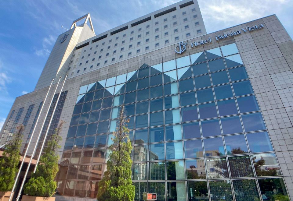 5. 부에나 비스타 ..