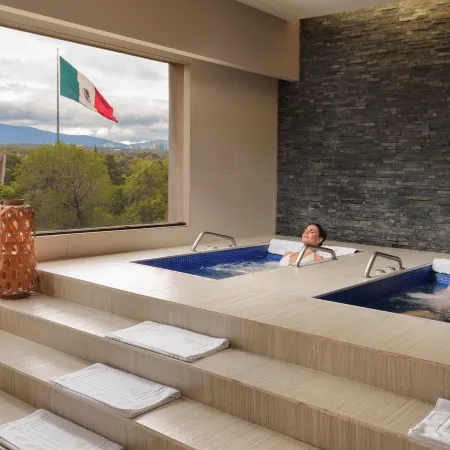 InterContinental Hotels PRESIDENTE MEXICO CITY by IHG