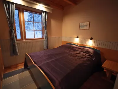 Tunturikoivu b1