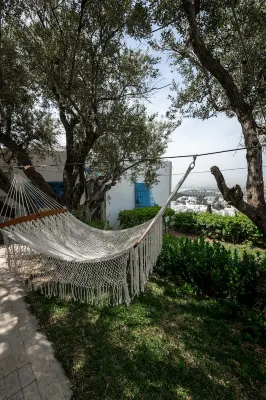 La Villa des Oliviers Hotels in Sidi Bou Said