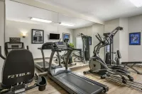 聖彼得堡克利爾沃特舒眠酒店 - 健身室/gym room