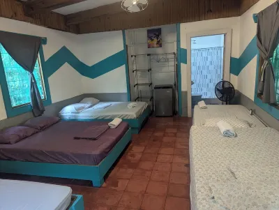 Tasty Dayz Hostel Hotels in 