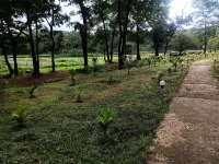 Cottage In Farm House Dandeli