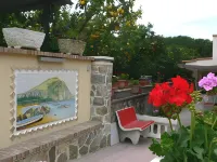 Hotel Casa Yvorio Отели в г. 