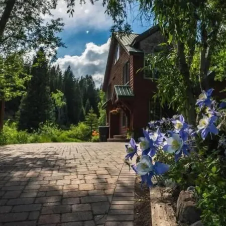 The Kebler Home: Walk to Elk Ave! Dog Friendly!