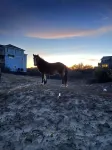 Steps from the Water! Beautiful New Home in the Heart of 4X4 Wild Horse Carova