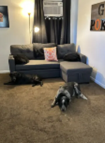 Pet friendly. Blocks to OSU - 0.7mi to BP Stadium!