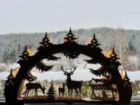 Gemütliche Berghütte mit Kamin im Erzgebirge Nahe Schwarzwassertal Hoteles en Pobershau