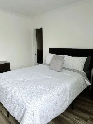 Modern 1 BR apt | Close to everything | Whitesboro