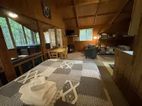 Cozy Romantic Cabin with Hot Tub on Screened Porch Hotels near New River Gorge