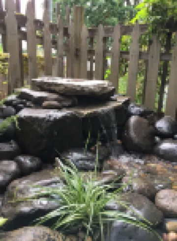 Hidden Treasure - A Private Guest Suite