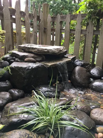 Hidden Treasure - A Private Guest Suite