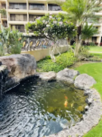 Last Minute Deals - Beachfront Condo in Paradise at Sugar Beach Resort