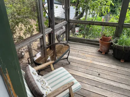 Quiet Cottage on the Lane Close to SF, Parks, Redwoods, Zoo, BART and the Ferry! Отели рядом с достопримечательностью «Чилдренс Фэриленд»