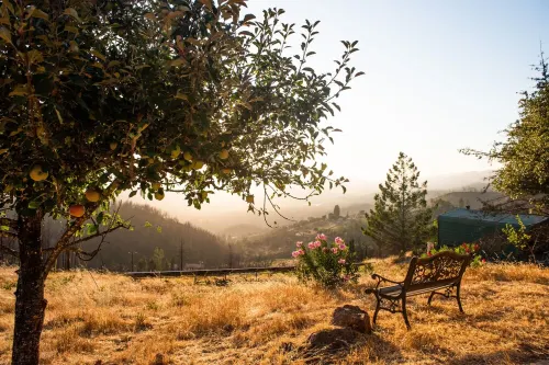 Valley of the Moon Getaway