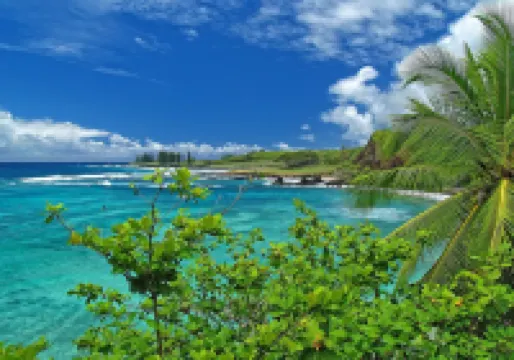 MINUTES TO HAMOA BEACH, BEST LOCATION IN HANA