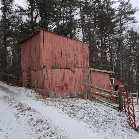 Remote cabin with gorgeous view and sunsets, pets free, fast Wi-Fi!