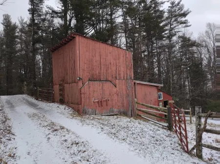 Remote cabin with gorgeous view and sunsets, pets free, fast Wi-Fi!