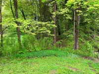 Original Log Cabin on 3 Private Acres