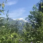 1 Bedroom Apartment in la Plagne-Tarentaise Các khách sạn ở Bellentre