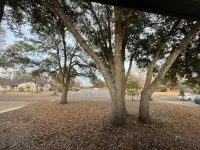 Cozy 3 BR + screened porch & FP Hotels in Taylor