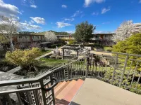 Work Here • Remodeled Kitchen • Fast WiFi • King Bed • Walk Downtown • Parking