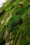“Climber's Den” Rare Cliffside Stay w/ HotTub RRG