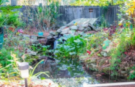 Sunny Daze Bungalow, sleeps 2 Adults