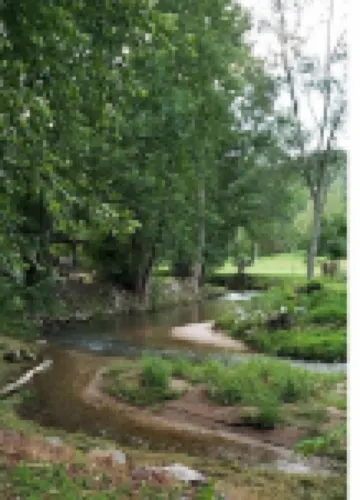 The CABIN on CULVER CHRISTMAS TREE FARM