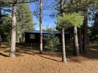 Cabin in waterfall country with trail access and screened porch.  Pet friendly!