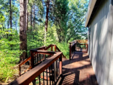 Forest View Cabin - 4 Br, Family & Pet-Friendly, AC, Game Area, & Close Hiking Hotels in Arnold
