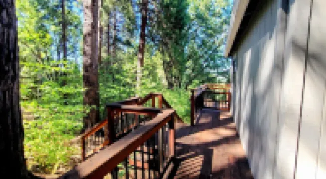 Forest View Cabin - 4 Br, Family & Pet-Friendly, AC, Game Area, & Close Hiking