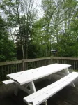 Quiet mountain home in Juniata County - Homestays
