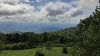 Relax at 3100 feet and enjoy the peace and tranquility