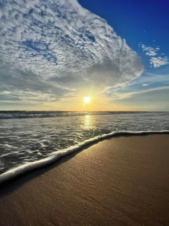 The Poolside Happy Heron is in a Gated Community on the Florida Forgotten Coast.
