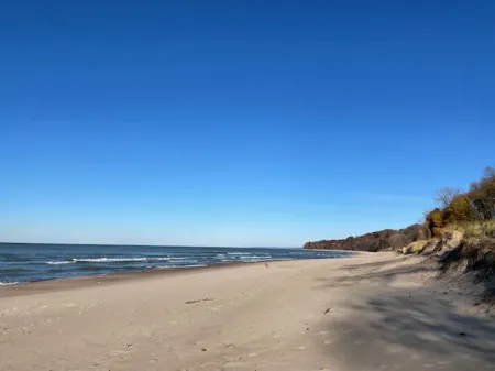 NEW! Warren Woods Pool Retreat on private 5 acres, new large heated pool & hotub