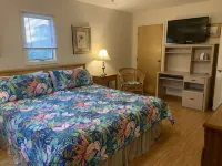Frisco Beach House! Snowbird Monthly Specials, Inquire! Easy Walk to the Beach! Hotels in Frisco