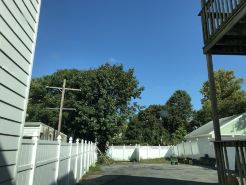 Cozy-Chic Urban Retreat - King bed, washer/dryer