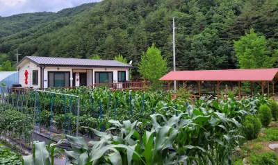 울진 왕피천힐링팜 용화사 주변 호텔