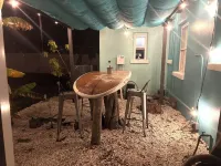 2/1 Pvt Pool home/ walk to Blue Jays stadium/ DT Dunedin. GolfCart rental avail Hotels in Dunedin