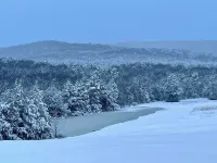 Mountain View Stay LLC -  The perfect place to get away, relax and enjoy nature.