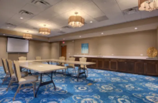Hampton Inn and Suites by Hilton Tampa Busch Gardens Area