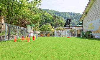Gapyeong That Haru Pension (Dog Friendly, Private Playground, Spa)