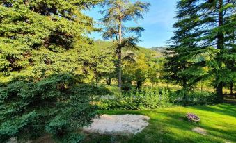 B&B Villa Molinello