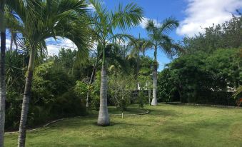 Almond Tree Hotel Resort