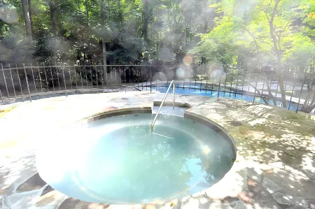 Almost Heaven - Grill, 2 King Beds, Wifi, Deck, Pool Access, Hiking, Wood Stove, Family Friendly Отели рядом с достопримечательностью «Парк штата Беркли Спрингс»