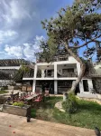 Villa Zeus Otel Hotels in Narlikuyu