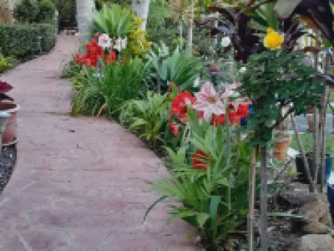 Mapleton Peaceful Provence Bnb Hotels in Mapleton