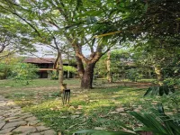 Klov Resort & Spa Отели рядом с достопримечательностью «Pakshipathalam Bird Sanctuary»