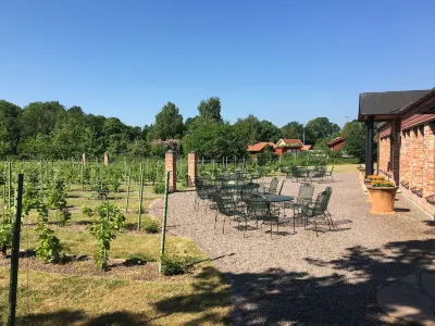 Åmund Vin & Fruktgård Hotels in Ljungbyholm